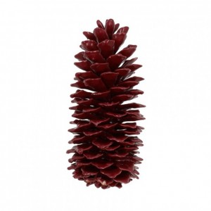 PIGNA SUGAR CERATA 35cm - wine red