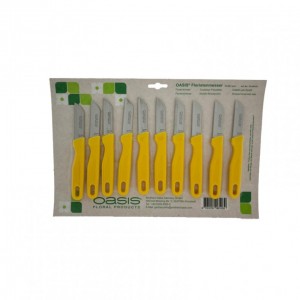 COLTELLI  -32-06103- 10 PZ FLORIST