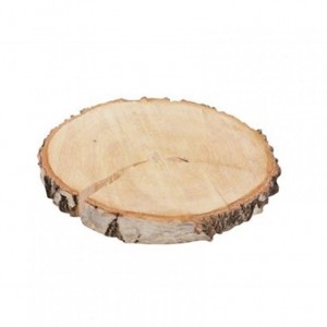 SEZIONE TRONCO BETULLA D28-32 cm