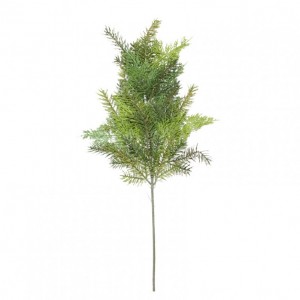PINO CEDRO ramo H66 - green