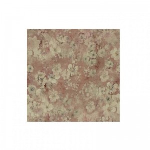 TOVAGLIOLO COTONE 50X50CM -melo