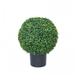 PIANTA BOSSO C/V D38 H46 PN - green *
