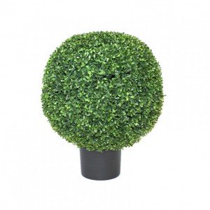 PLAN BOXWOOD C / V DM43H57CM PN75,50 *