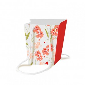 SACC.SIGNATURE 11X15 H17 10PZ - rouge