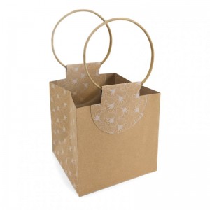 BAG Evidence large 15x15xh15cm