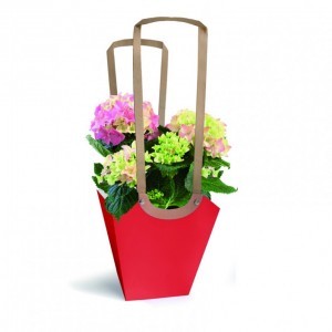 SACC.AQUAc / man.11XH17,5cm-10PZ-rouge