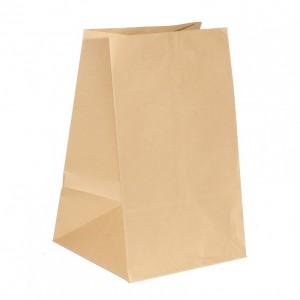 PAPER BAG CM22X24X38 pcs 10