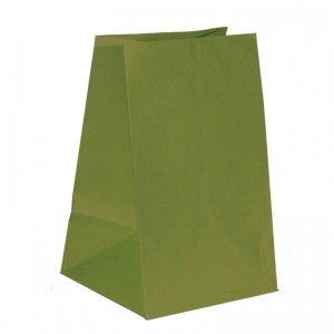 BAG PAPER CM22X24X38 pcs 10-green