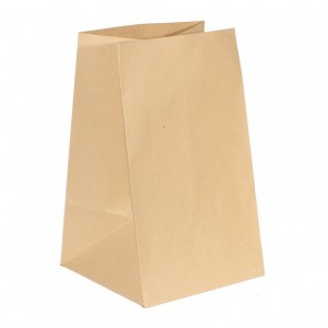 PAPER BAG CM19X19X32 pcs 10