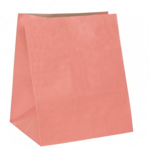 BAG PAPER CM25X33X36 pcs 10- pink