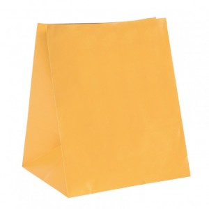 BAG PAPER CM25X33X36 pcs 10- ocher