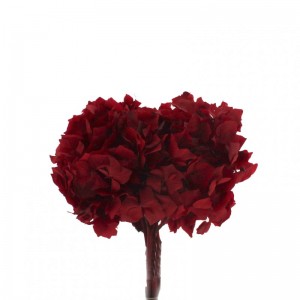 STABILIZED HORTENSIA D18 / 20 H30cm-red