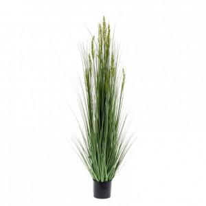 GRASS PLANT CM 150 - PN95.30 *