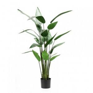 HELICONIA PLANT CM125 - PN69,50 *