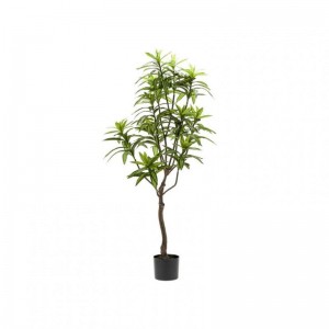 PIANTA DRACAENA H130 PN - green *