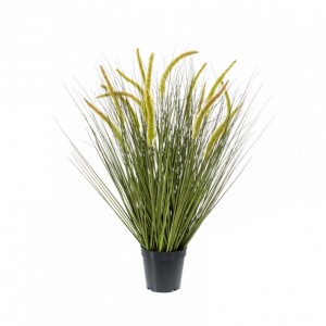 GRASS PLANT CATTAIL CM 70 PN *