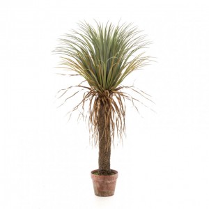 PIANTA YUCCA H110 CM PN *