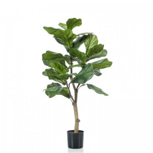 PIANTA FICUS H90CM PN *