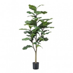 PIANTA FICUS H120CM PN *