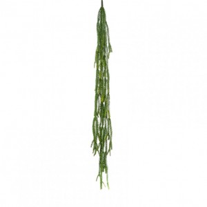 FALLING EPIPHILL 120CM - CD 10.60 *