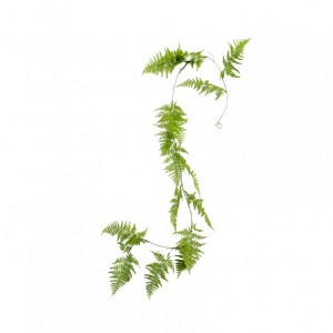 FALLING ASPARAGUS 150CM - CD13.20 *