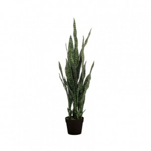PIANTA SANSEVERIA H97cm PN *