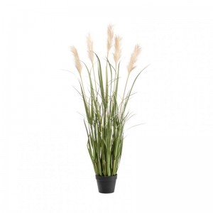 PIANTA ERBA PAMPAS H130 cm PN *