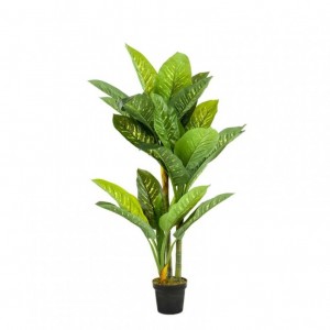 DIEFFENBACHIA PLANT 150 cm PN *