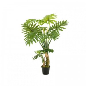 PIANTA PHILODENDRON H130CM PN *