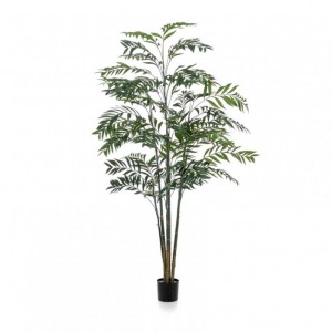 PIANTA BAMBOO H225CM PN *