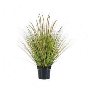 PENNISETUM PLANT 99 cm PN *