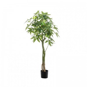 PIANTA PACHIRA 150 cm PN *