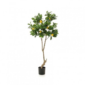 PIANTA ALBERO LIMONE H150CM PN *