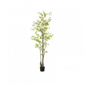 PIANTA NASTURZIO H210 cm PN *