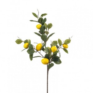 LIMONE RAMO X6 H95 LI *