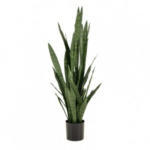 PIANTA SANSEVERIA H140cm PN *