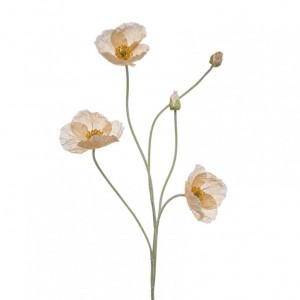 PAPAVERO X5 H110cm PA - peach*