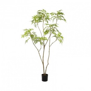 PIANTA MAHONIA H210 PN - green *