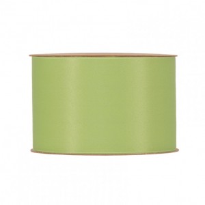 N/RECYCLED PET 40MM 20MT - light green