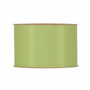N/RECYCLED PET 40MM 20MT - light green
