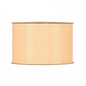 N/RECYCLED PET 40MM 20MT - beige