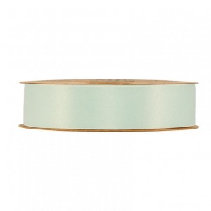 N/RECYCLED PET 25MM 20MT - mint