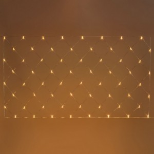 MAXILED WARM LIGHT NET 2X1MT