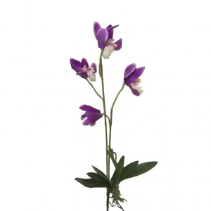 ORCHIDEA JUNGLE H75 cm OR9,45-violet *