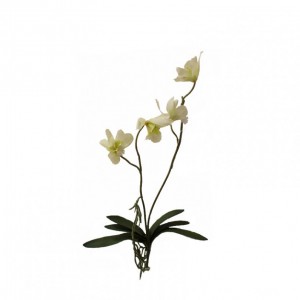 ORCHIDEA JUNGLE H75 cm OR9,45-white *