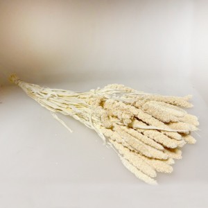 PANICO BIANCO MAZZO H67CM - crema