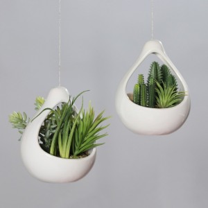 SUCCULENT C/VASO DA APP.14cm PG *