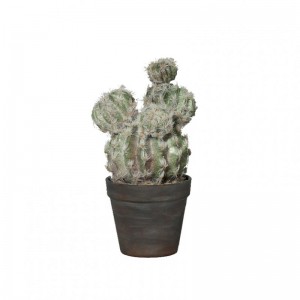 PIANTA CACTUS C/VASO 26cm PN*