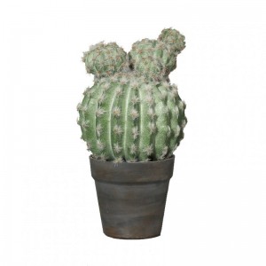 CACTUS PLANT W / VASE 33cm-PN40,40 *