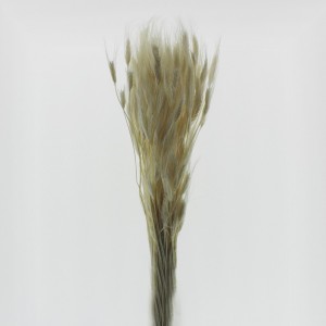 GRANO CON BAFFI 200GR H75 CM-bianco